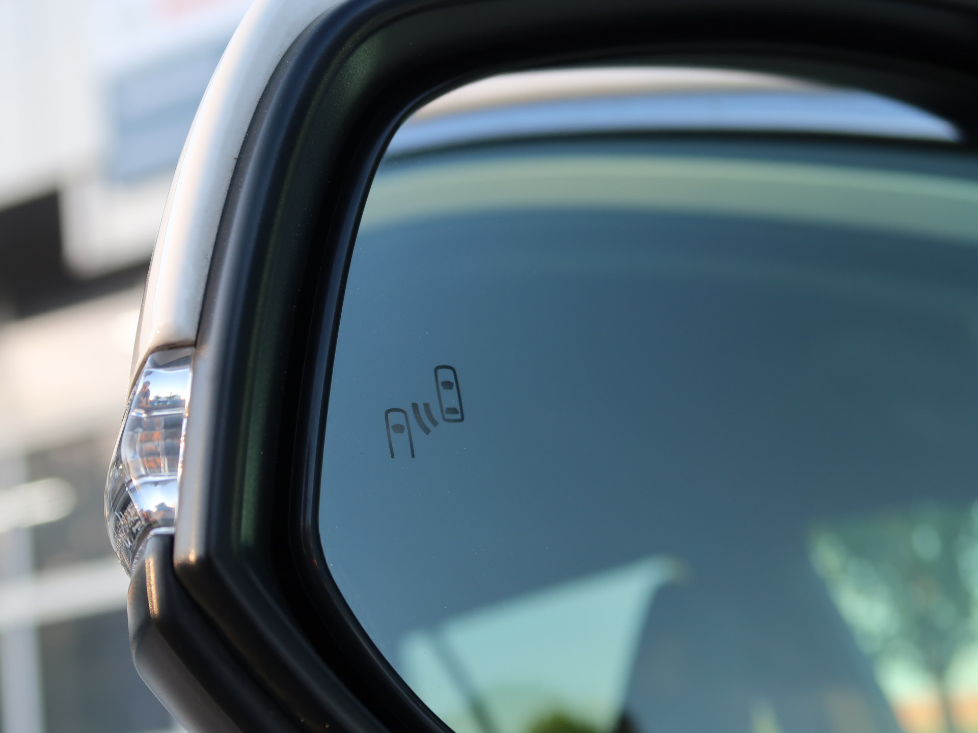 44951900-24.jpg